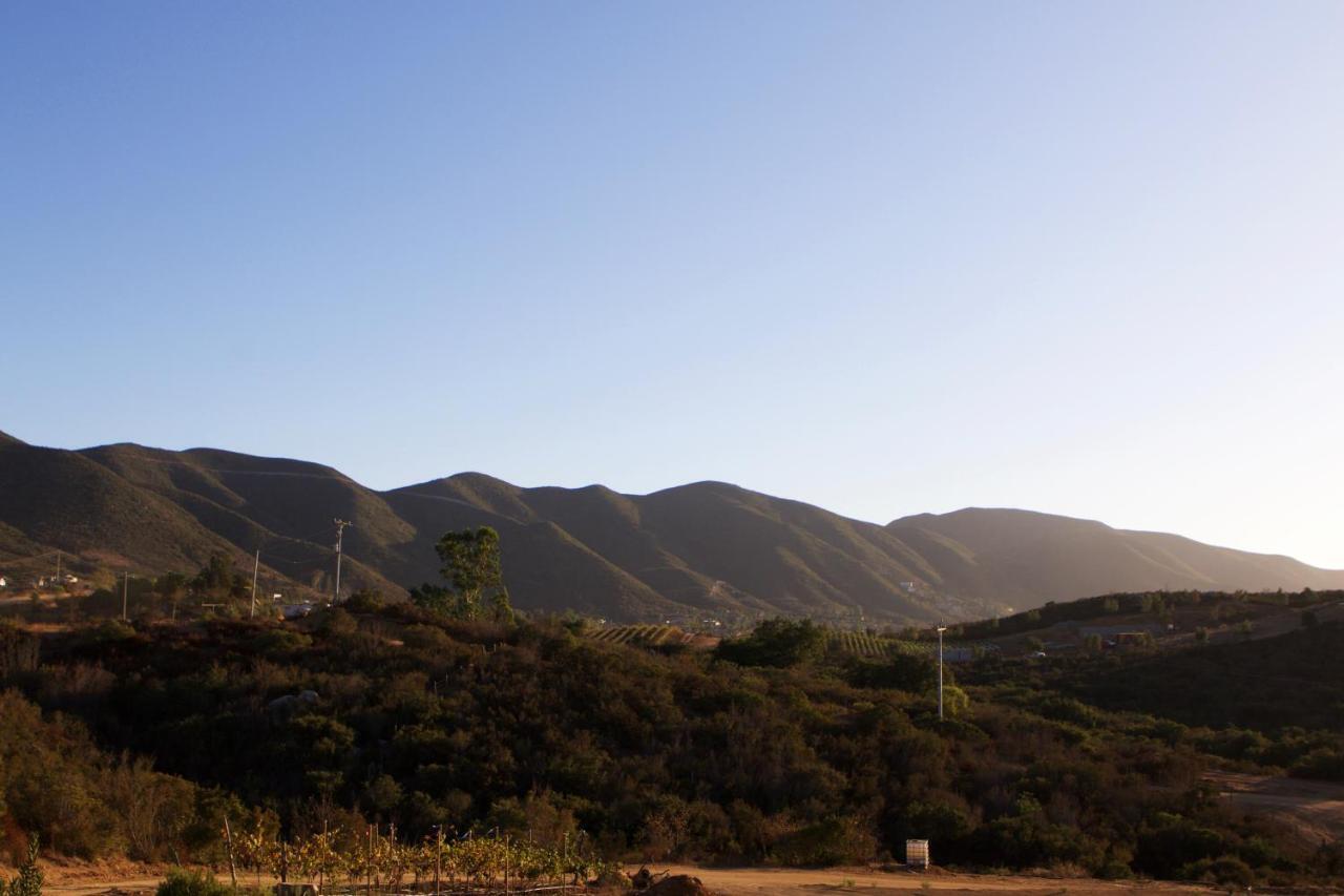 Hotel Quinta Lucia Valle de Guadalupe Zewnętrze zdjęcie