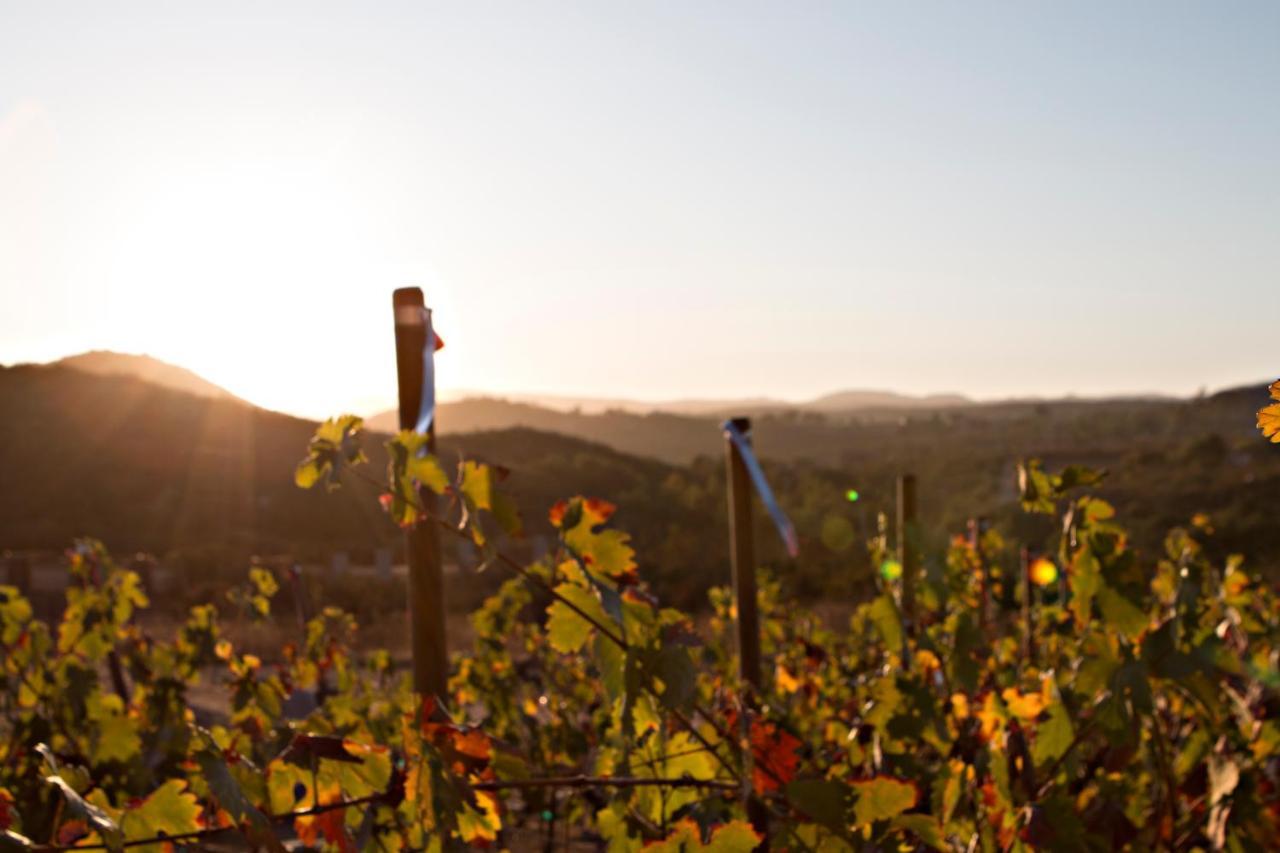 Hotel Quinta Lucia Valle de Guadalupe Zewnętrze zdjęcie